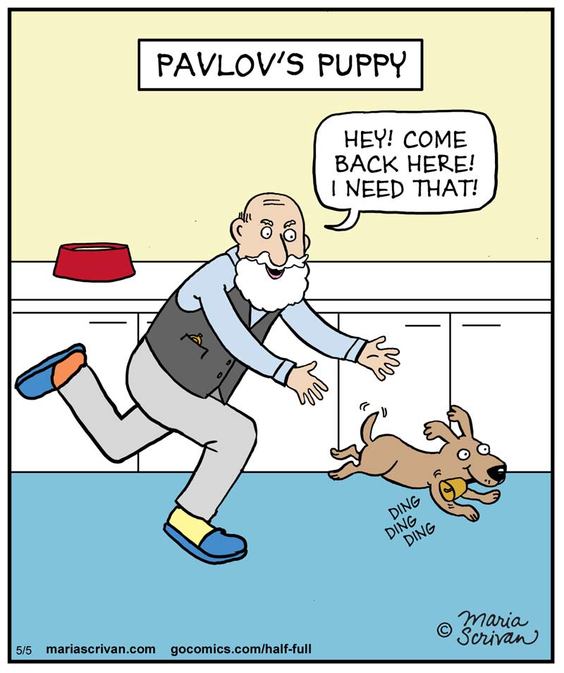 scrivan pavlovs puppy
